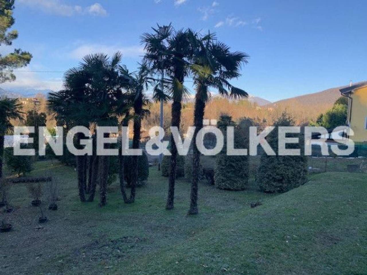 immagine annuncio 9 di 12