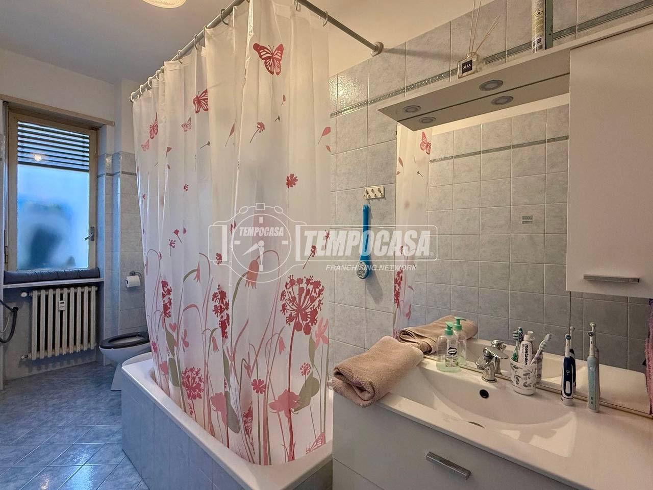 immagine annuncio 11 di 14