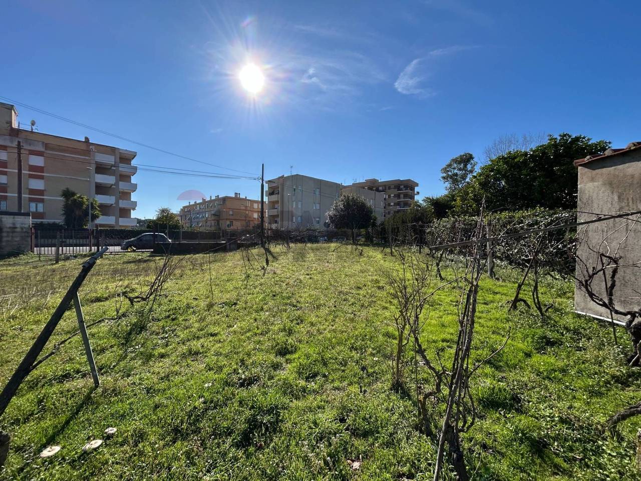 immagine annuncio 5 di 7