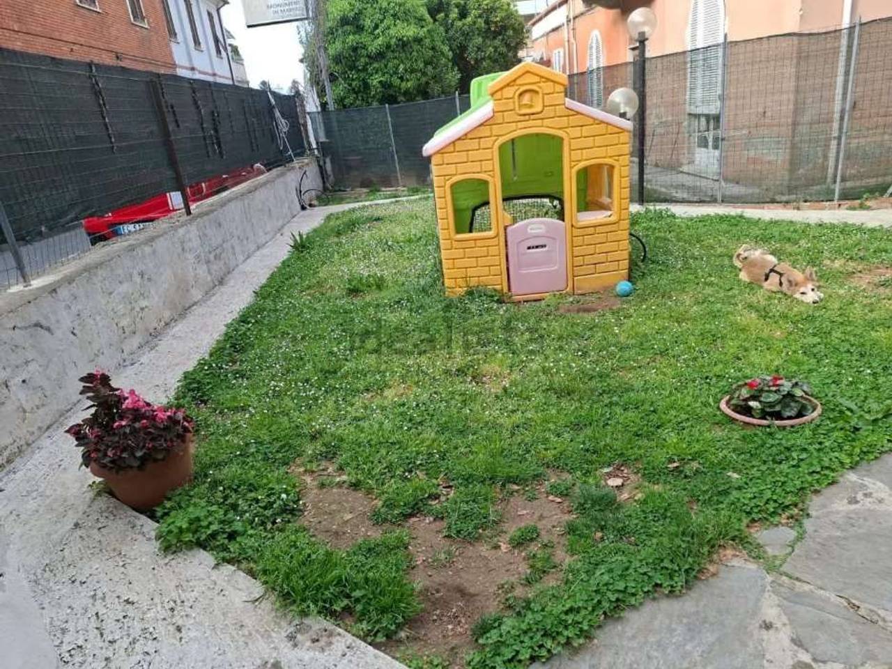 immagine annuncio 1 di 12