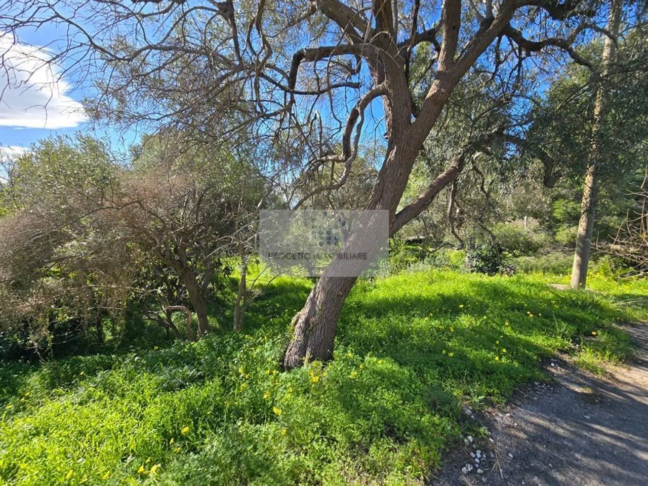 immagine annuncio 4 di 6