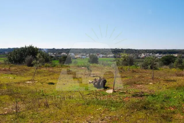 Terreno agricolo in Strada Vicinale Carcarella, Salve - Foto 1