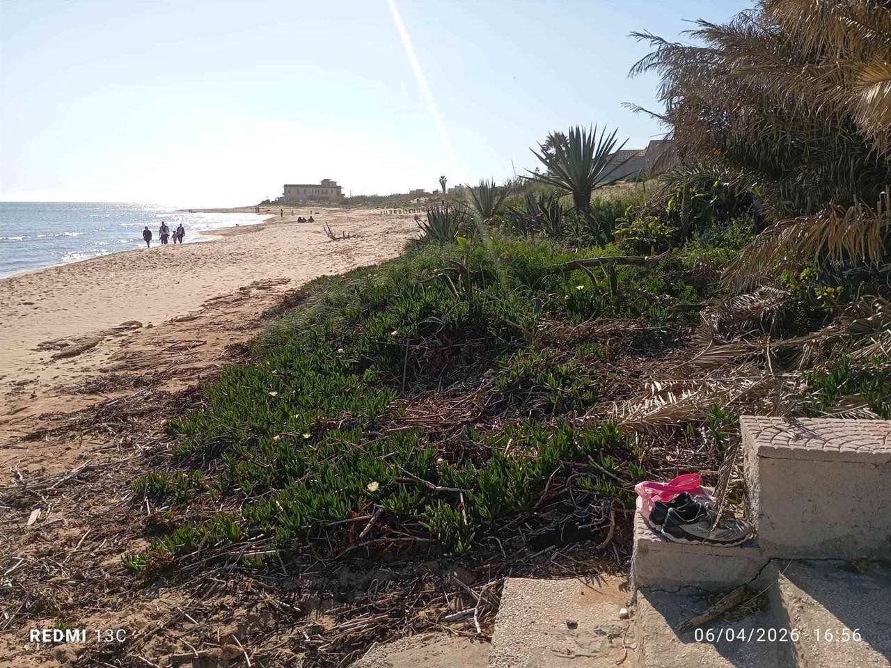 immagine annuncio 3 di 14