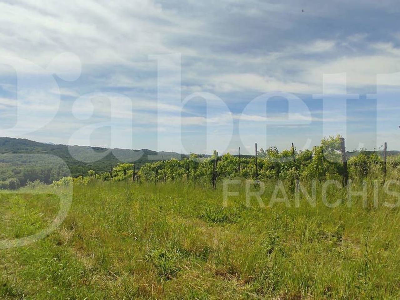 immagine annuncio 3 di 6