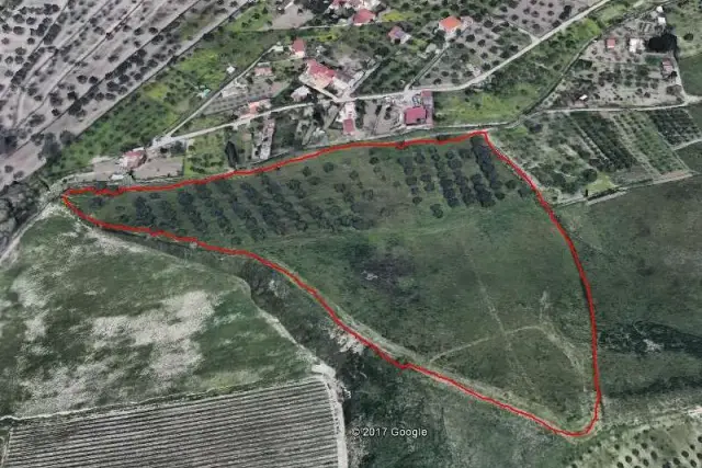 insertion image