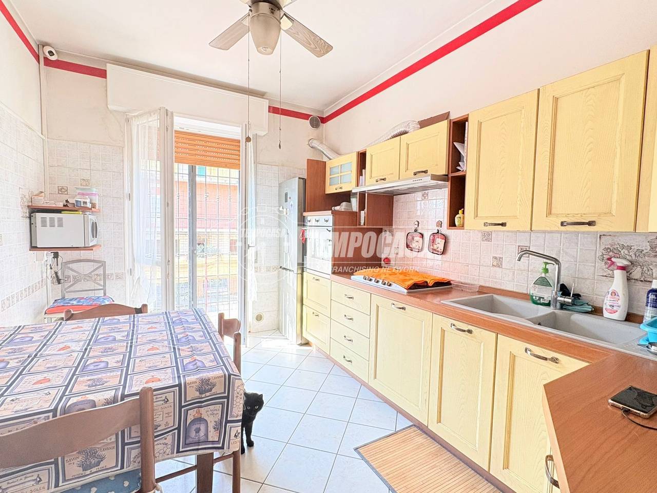 immagine annuncio 12 di 14