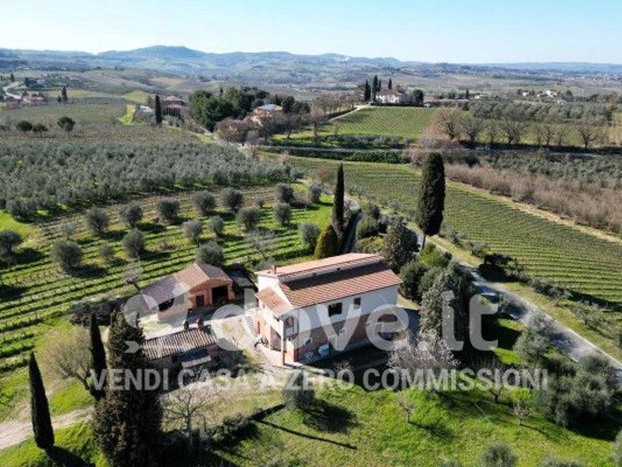 immagine annuncio 11 di 15