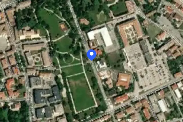 insertion image