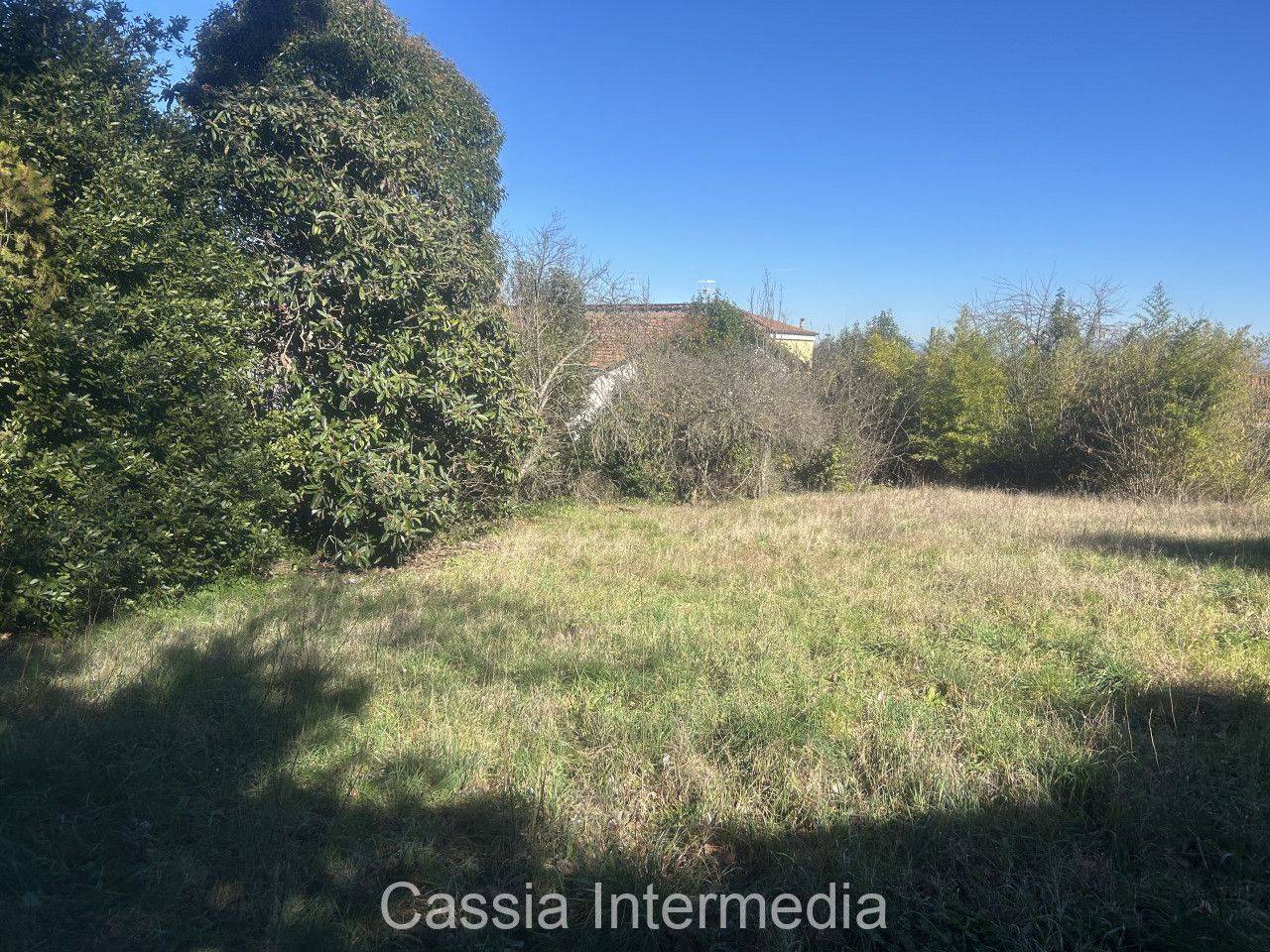 immagine annuncio 11 di 14