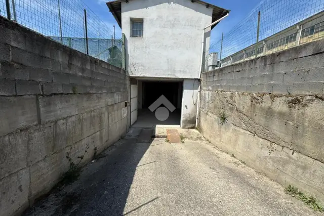 insertion image