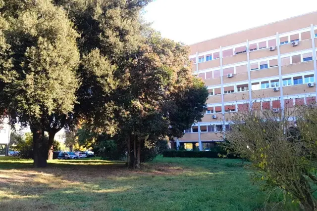insertion image
