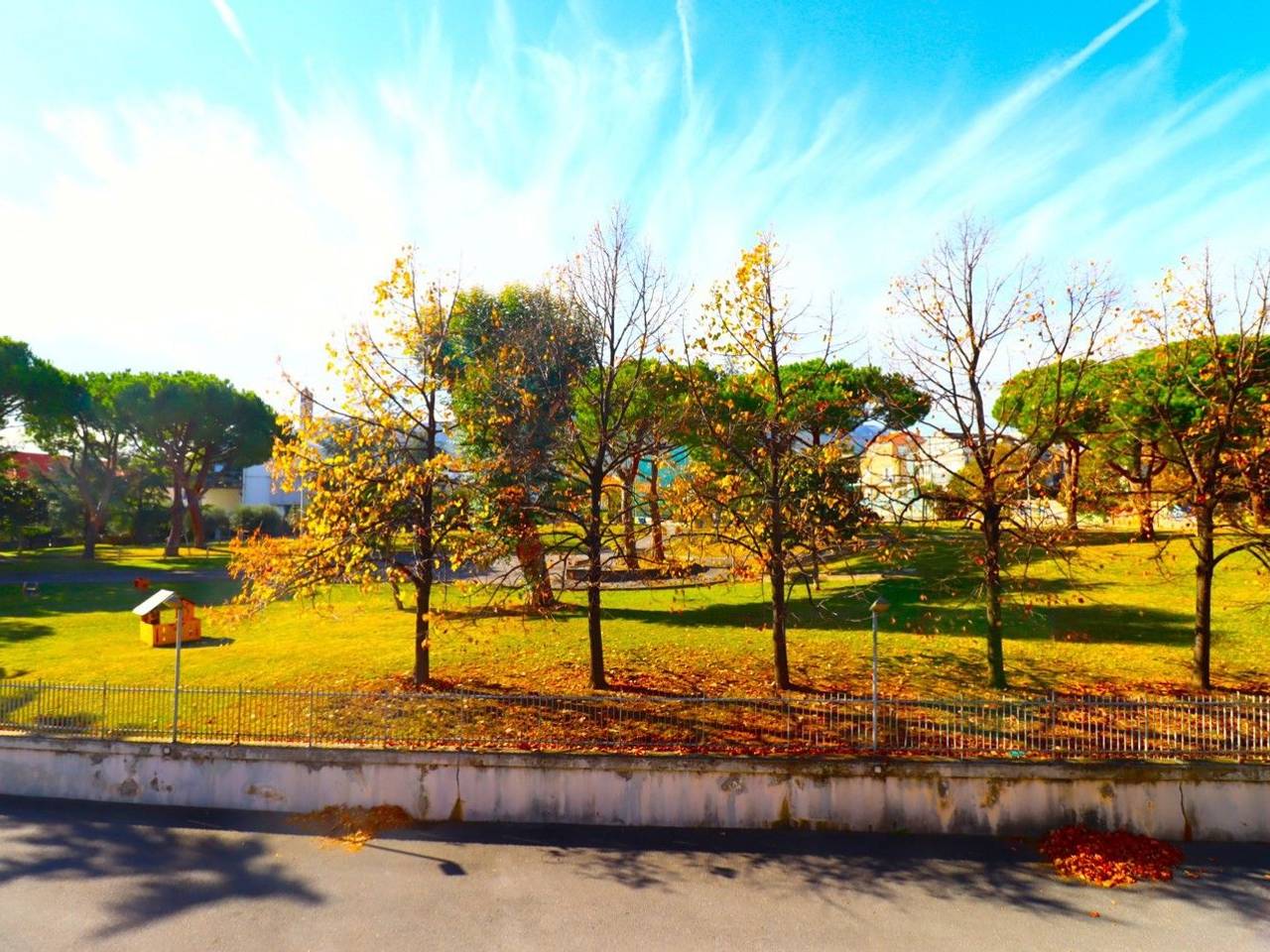 immagine annuncio 11 di 12