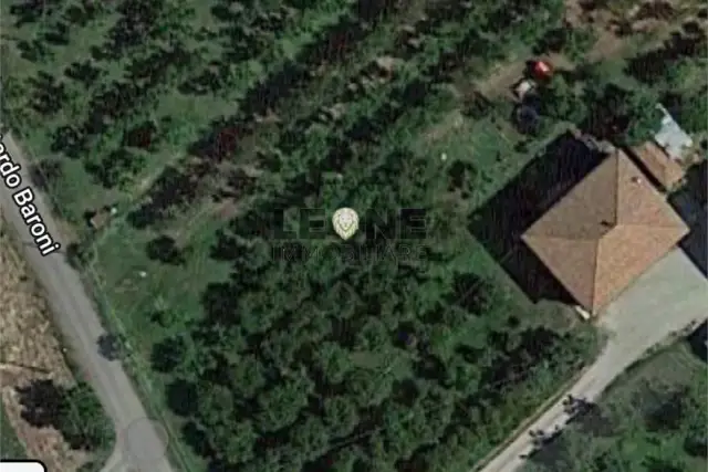 insertion image