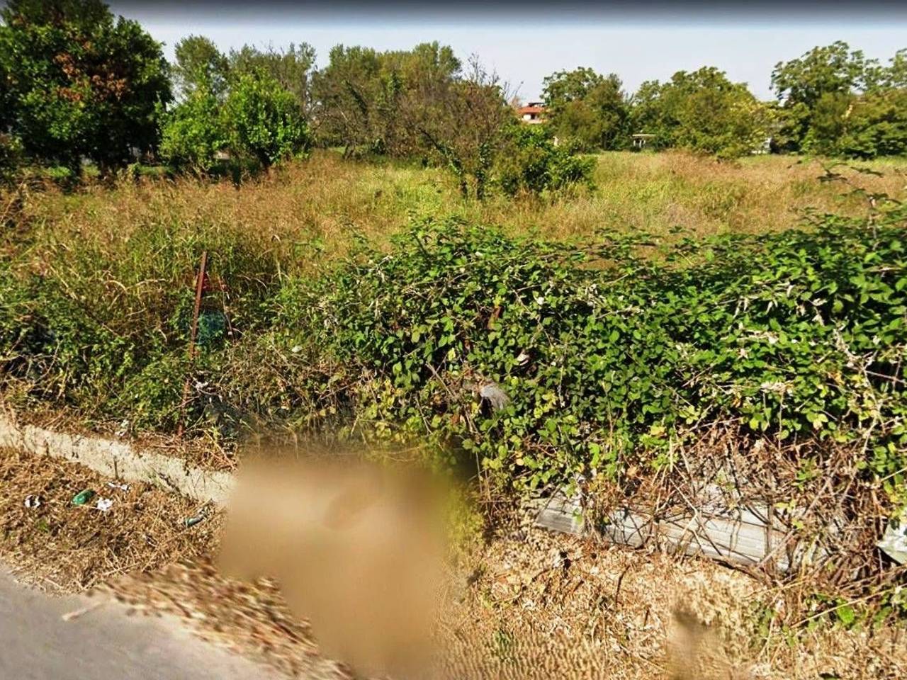 immagine annuncio 6 di 12
