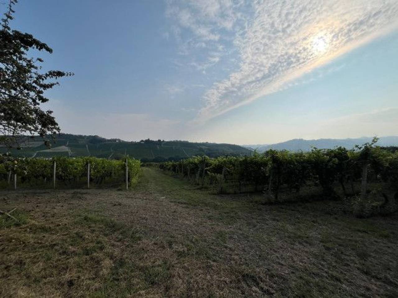 immagine annuncio 10 di 12