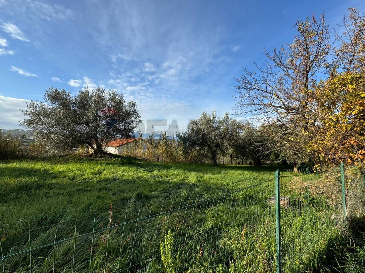 immagine annuncio 5 di 12