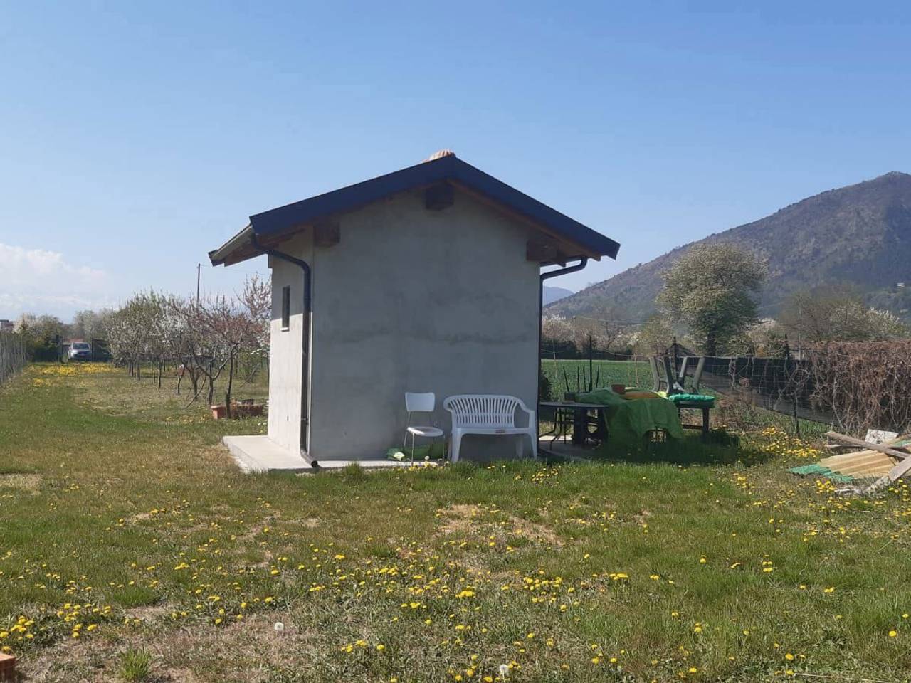 immagine annuncio 5 di 15