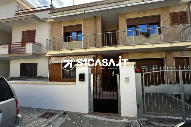 insertion image