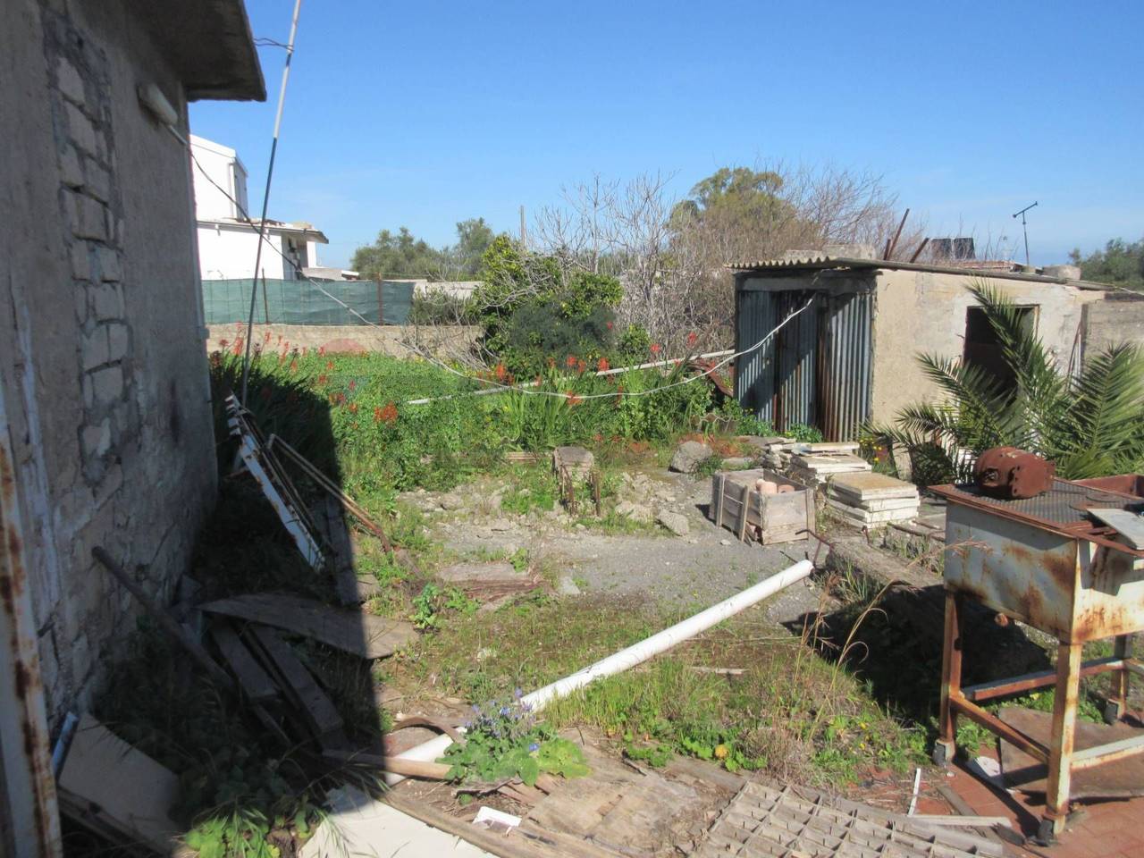 immagine annuncio 11 di 15