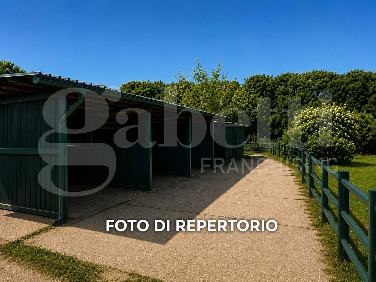 immagine annuncio 9 di 10