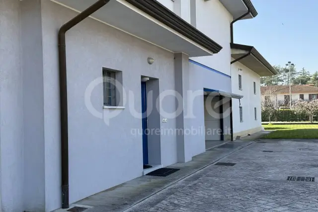 insertion image