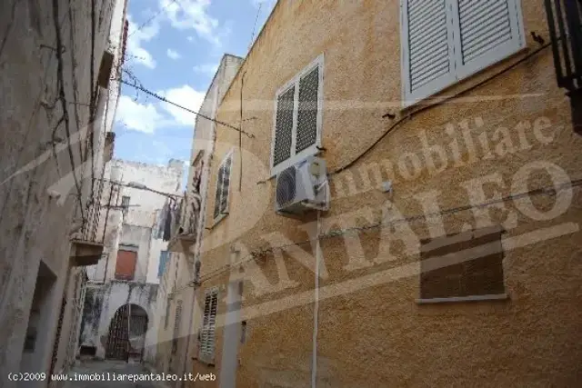 insertion image
