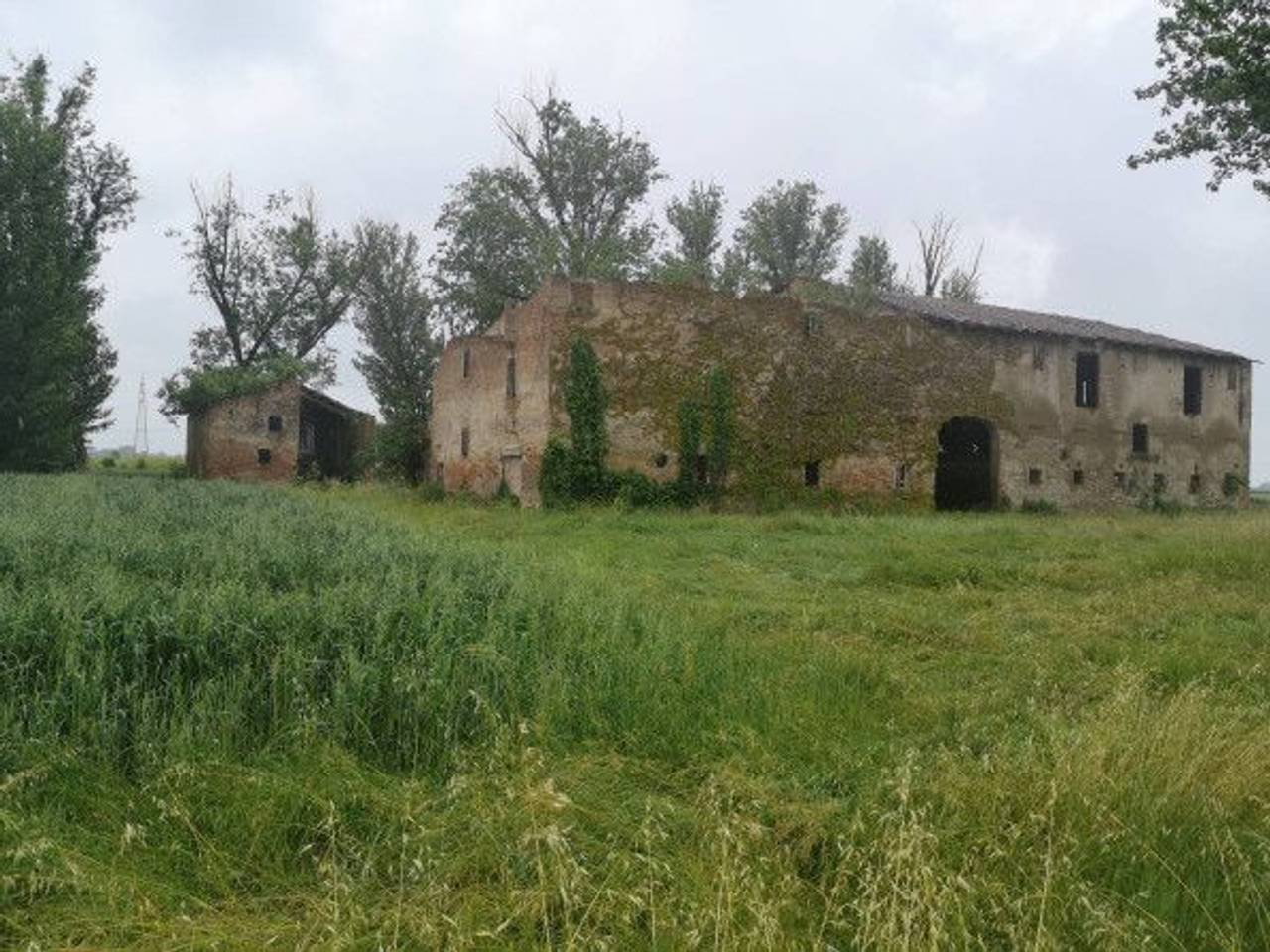 immagine annuncio 11 di 14