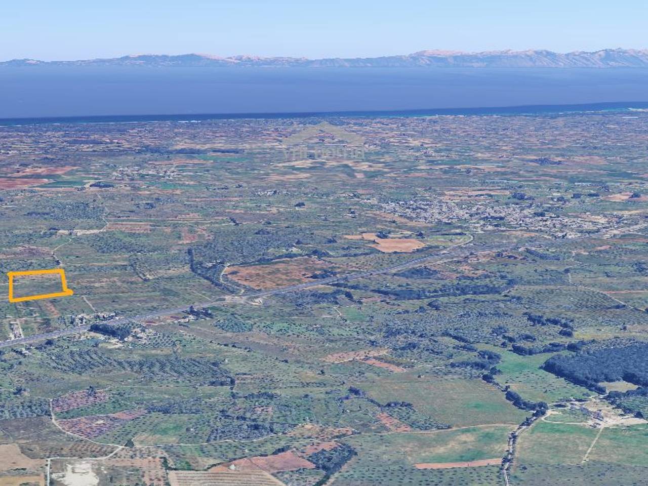 immagine annuncio 2 di 6