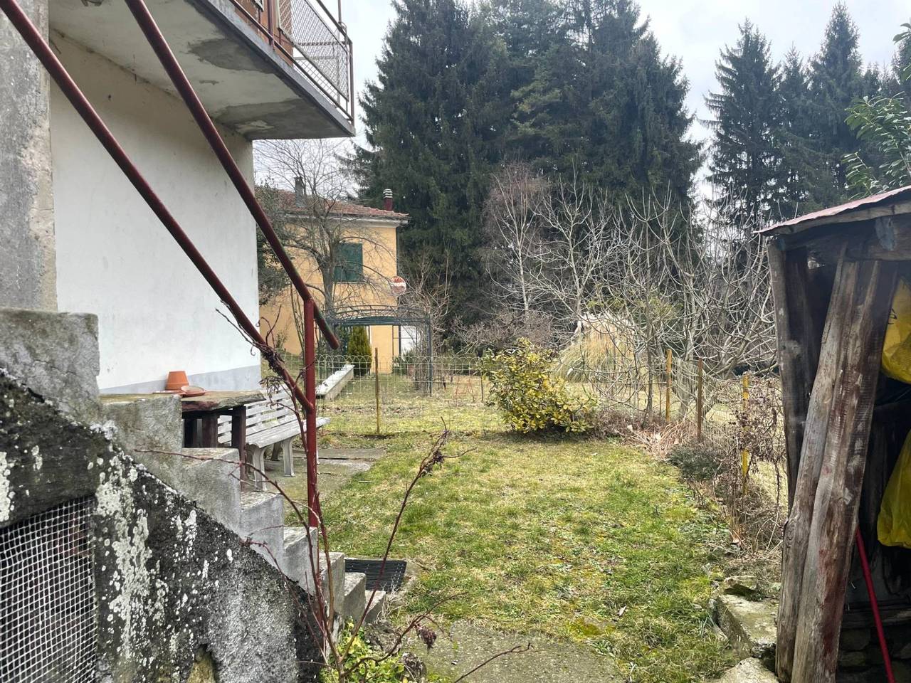 immagine annuncio 6 di 15