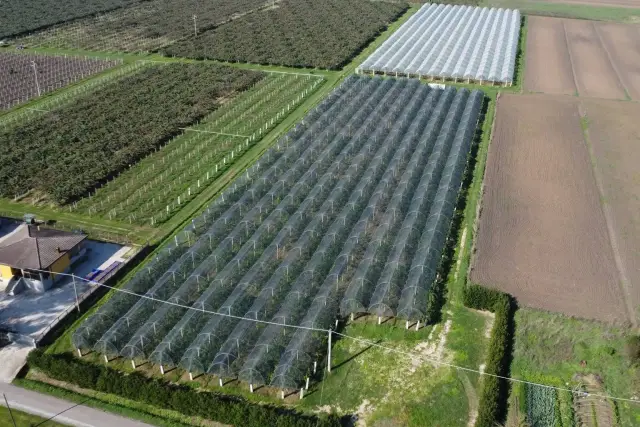 Terreno agricolo in Via dell'Anello, Latina - Foto 1