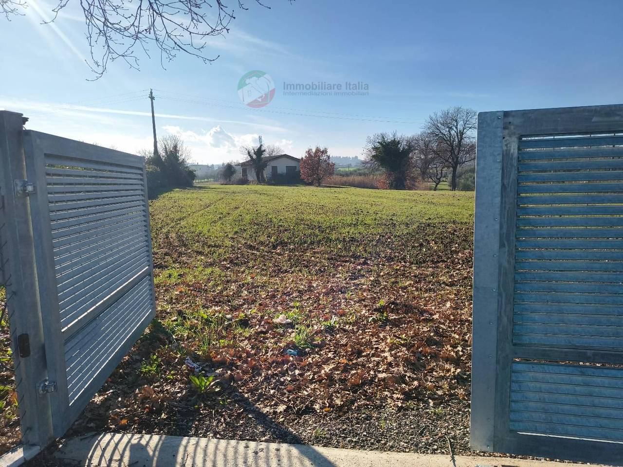 immagine annuncio 9 di 14