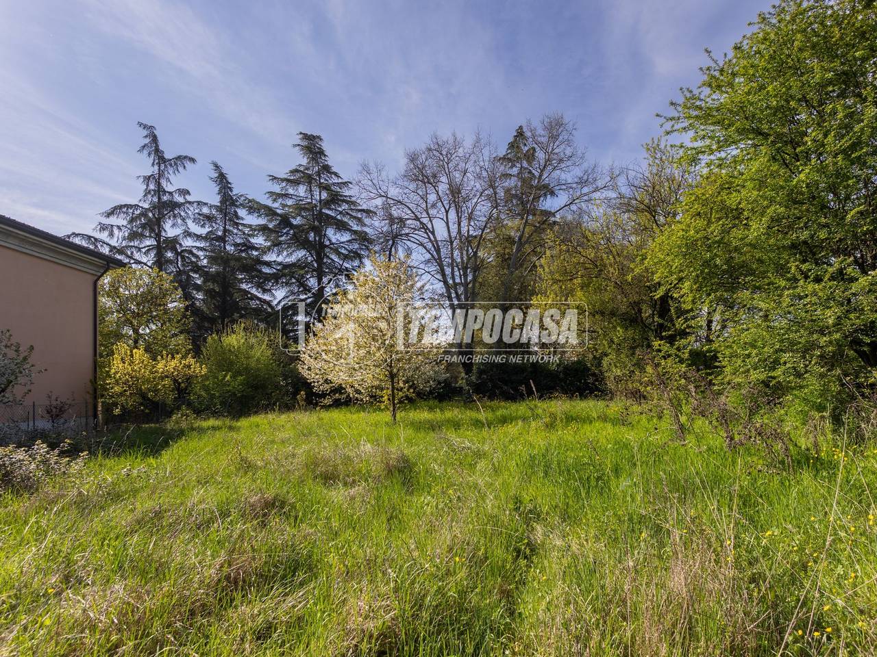 immagine annuncio 7 di 14