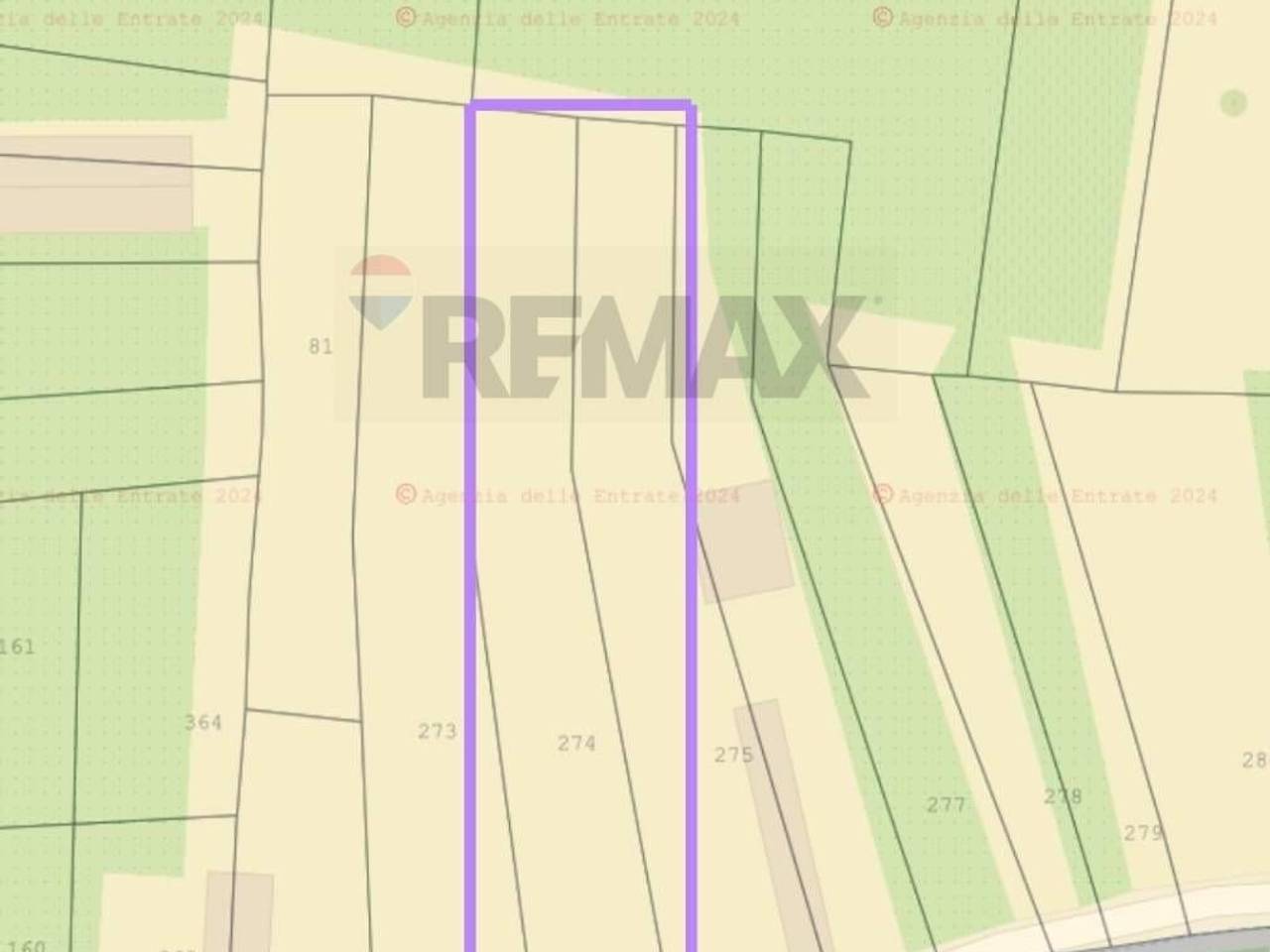 immagine annuncio 2 di 6