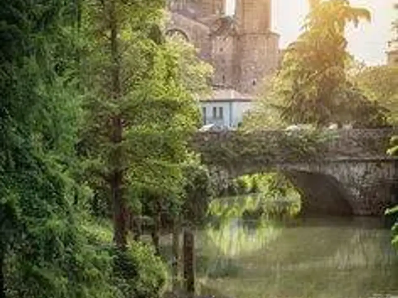 Negozio in , Treviso, {3} - Foto 2