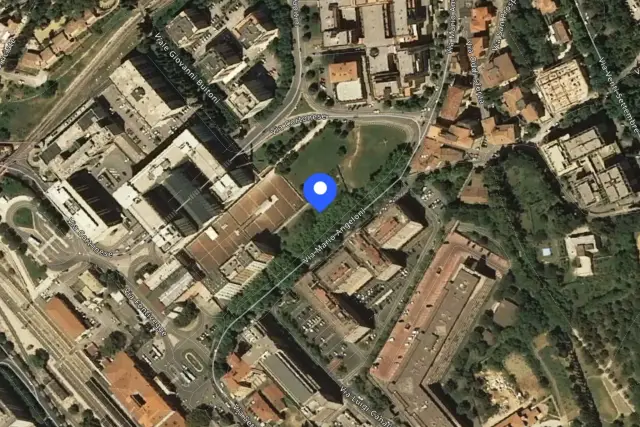 insertion image