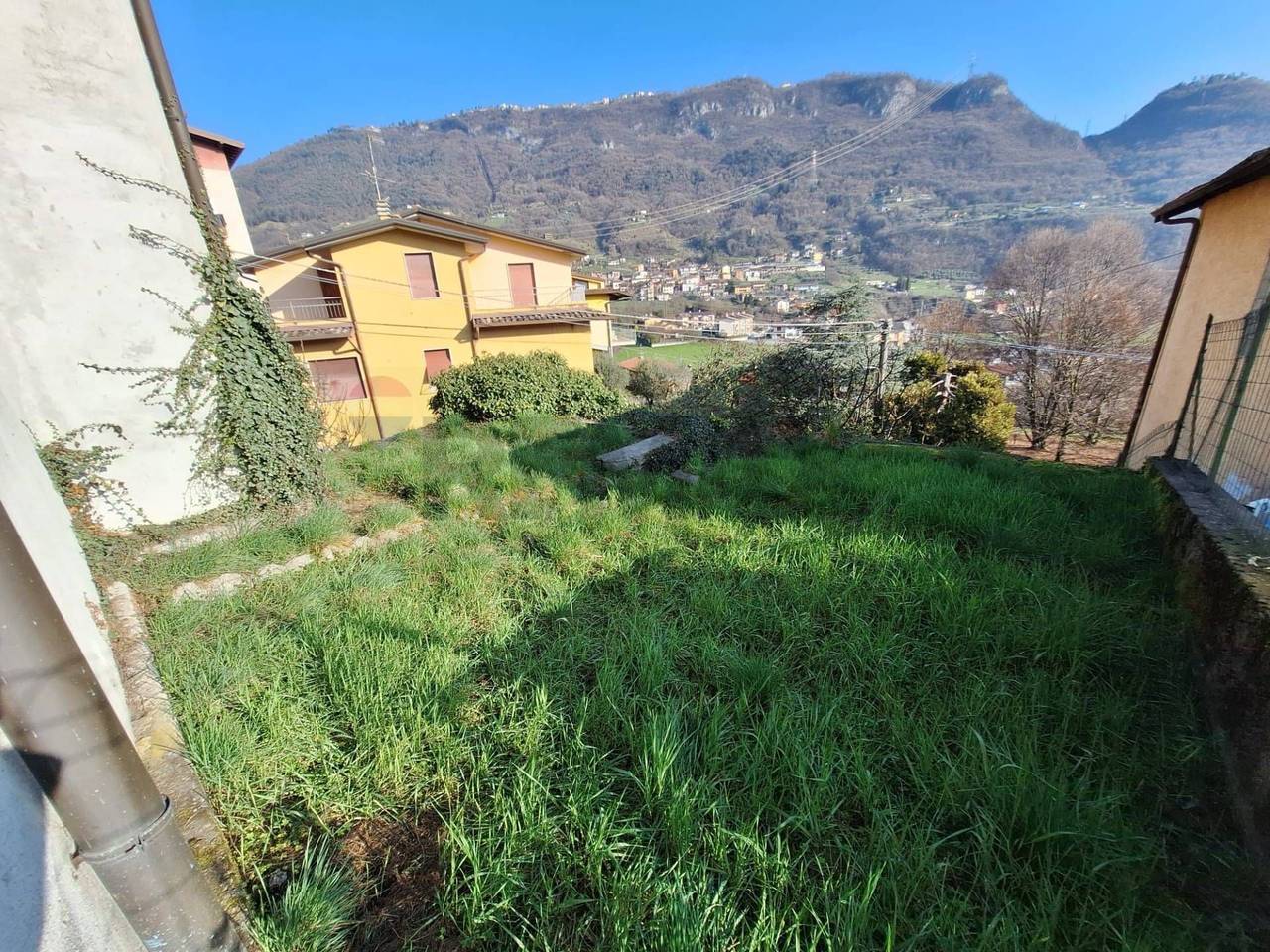 immagine annuncio 12 di 14