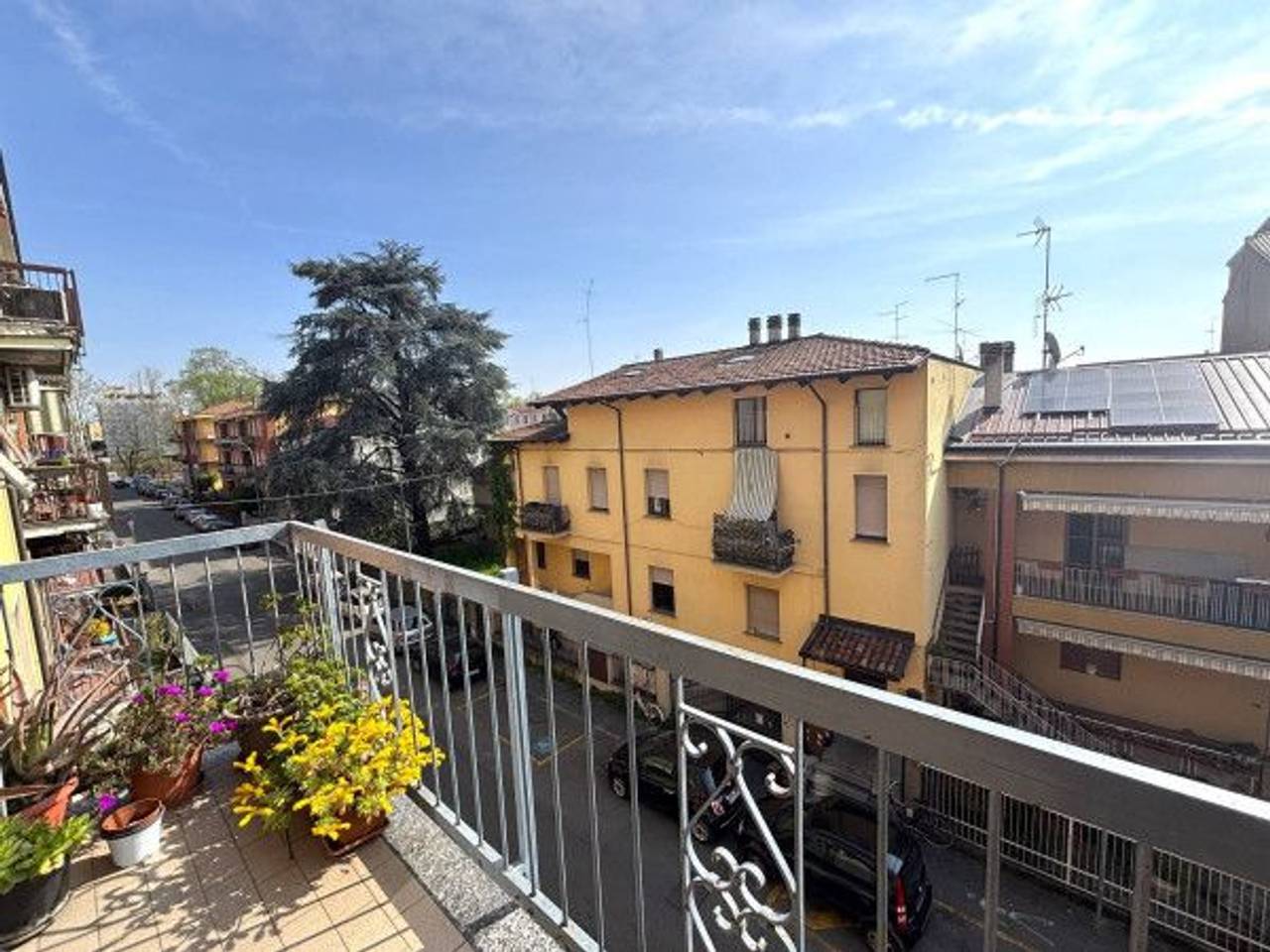 immagine annuncio 12 di 14