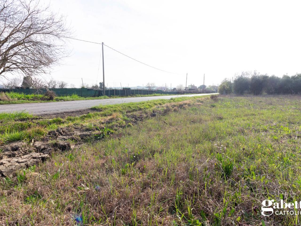 immagine annuncio 1 di 2