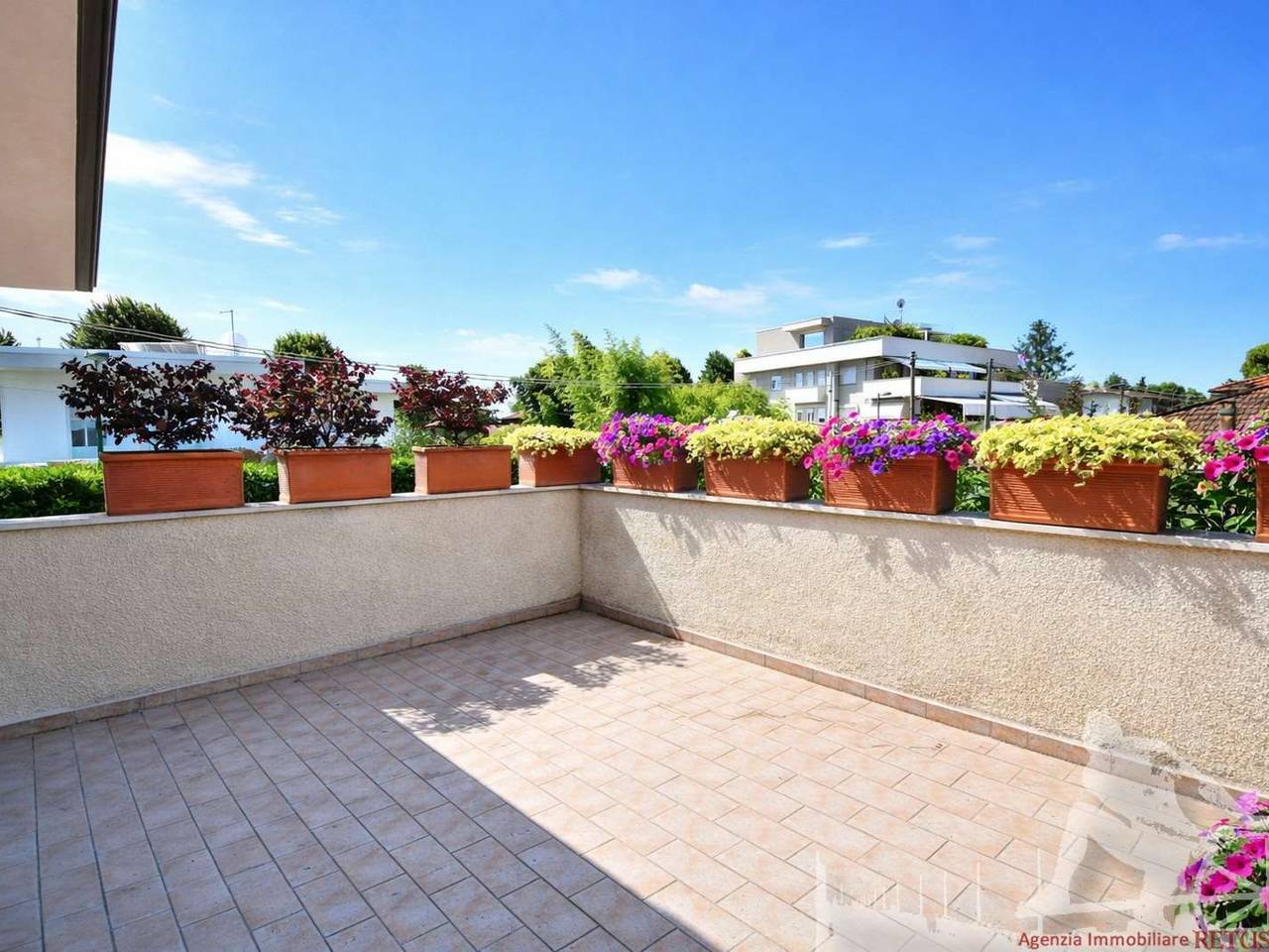 immagine annuncio 4 di 12