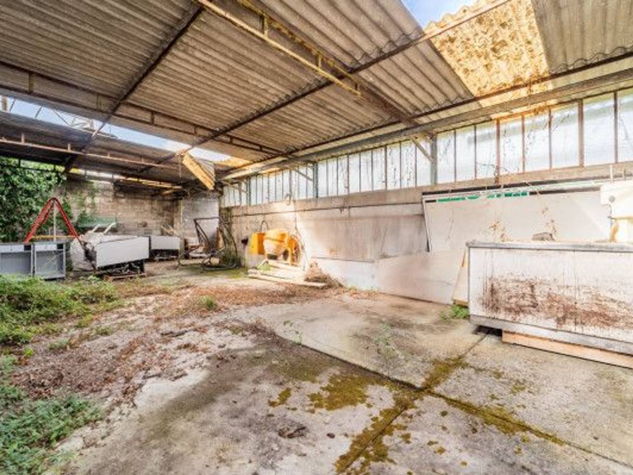 immagine annuncio 13 di 14