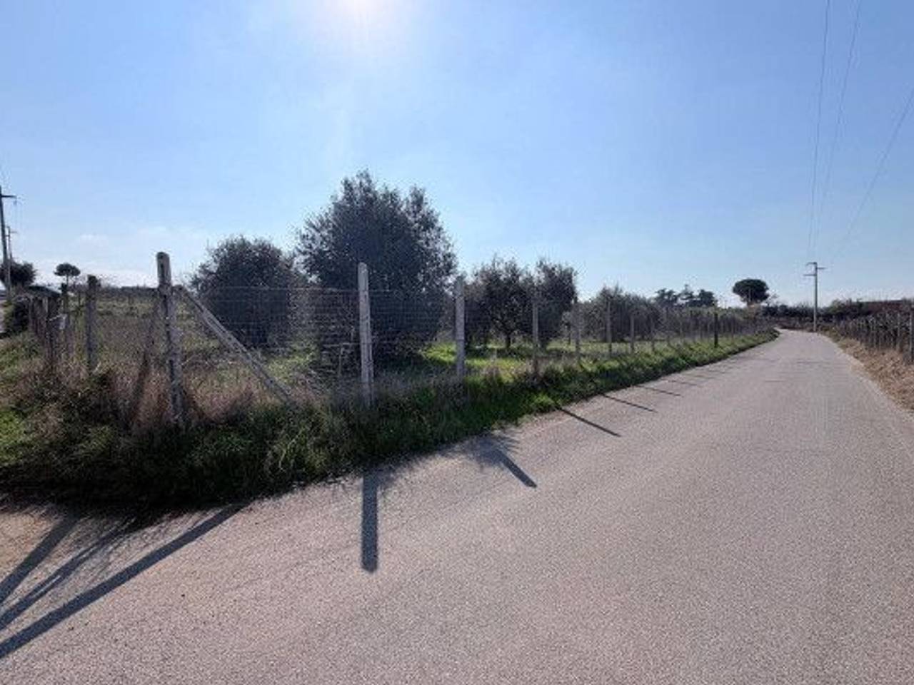 immagine annuncio 1 di 2