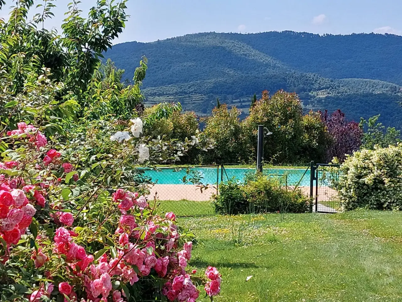 Agriturismo in Località San Donnino 252, Arezzo, {3} - Foto 2