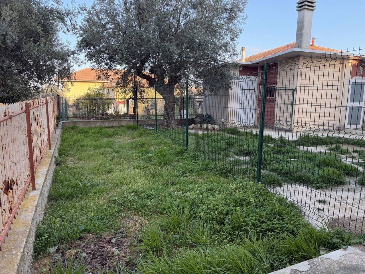 immagine annuncio 2 di 15