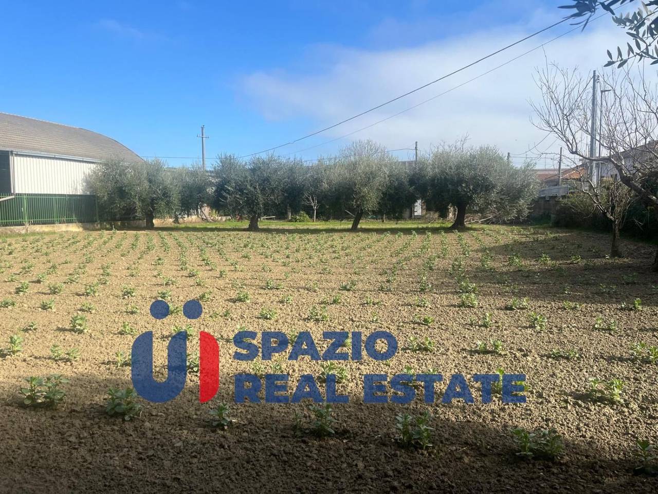 immagine annuncio 4 di 7