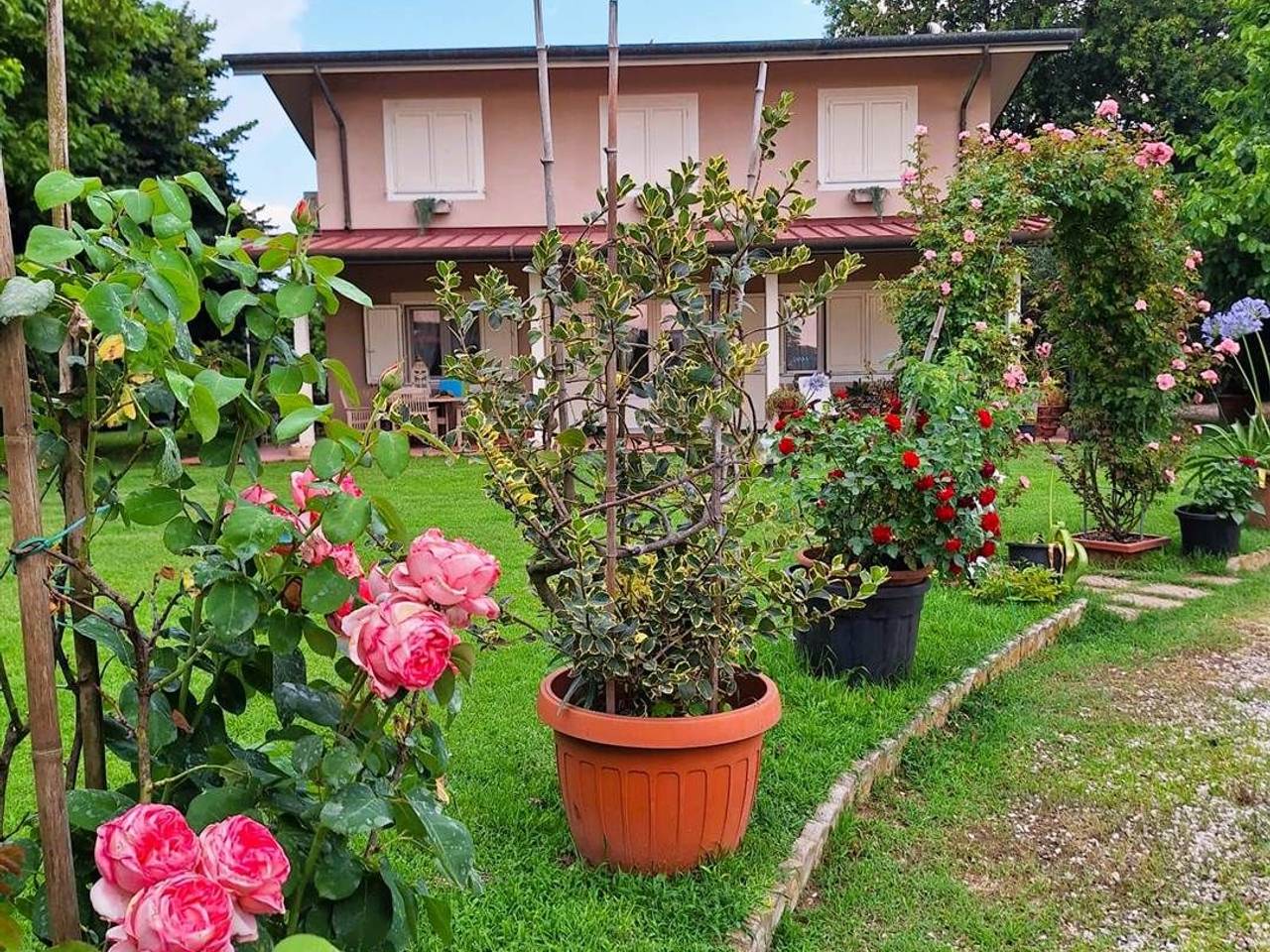 immagine annuncio 14 di 15