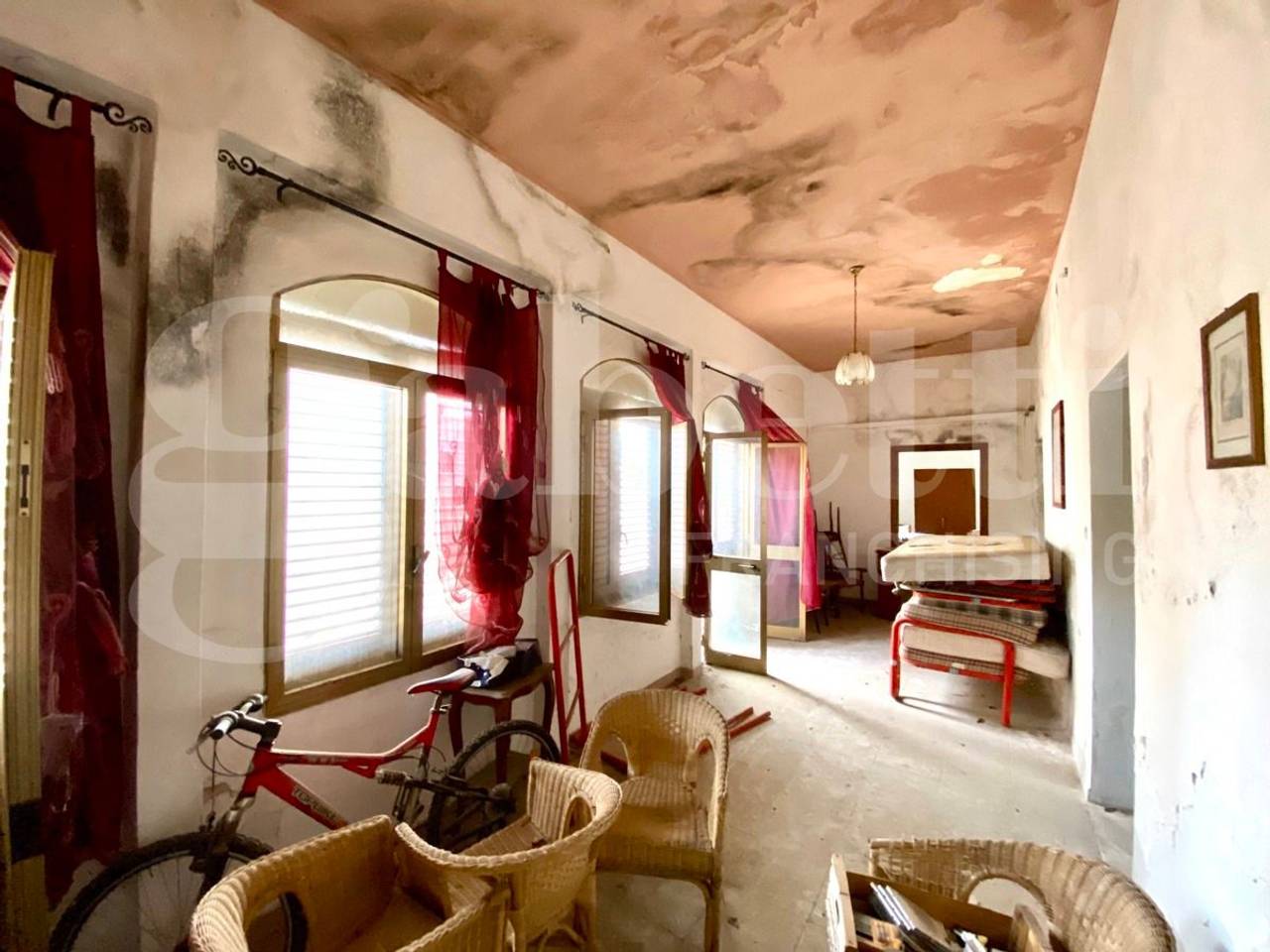 immagine annuncio 10 di 14