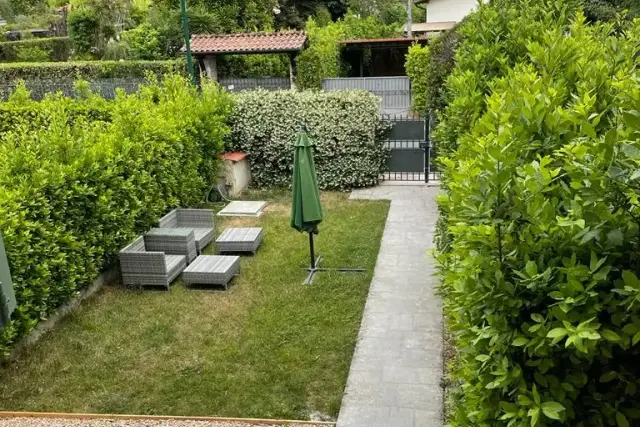 insertion image