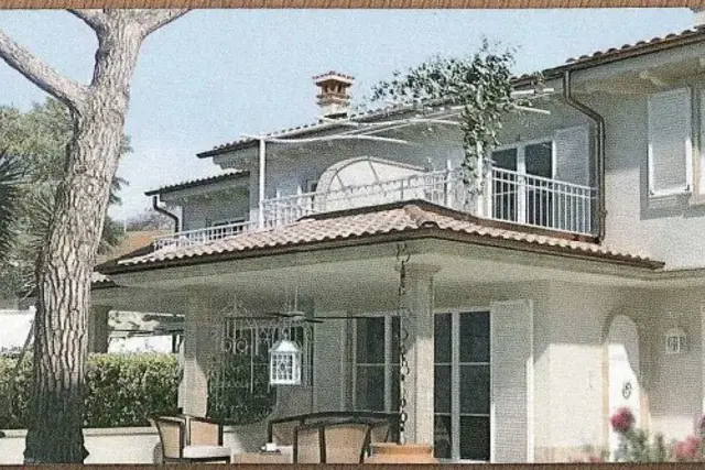 insertion image