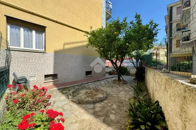 insertion image