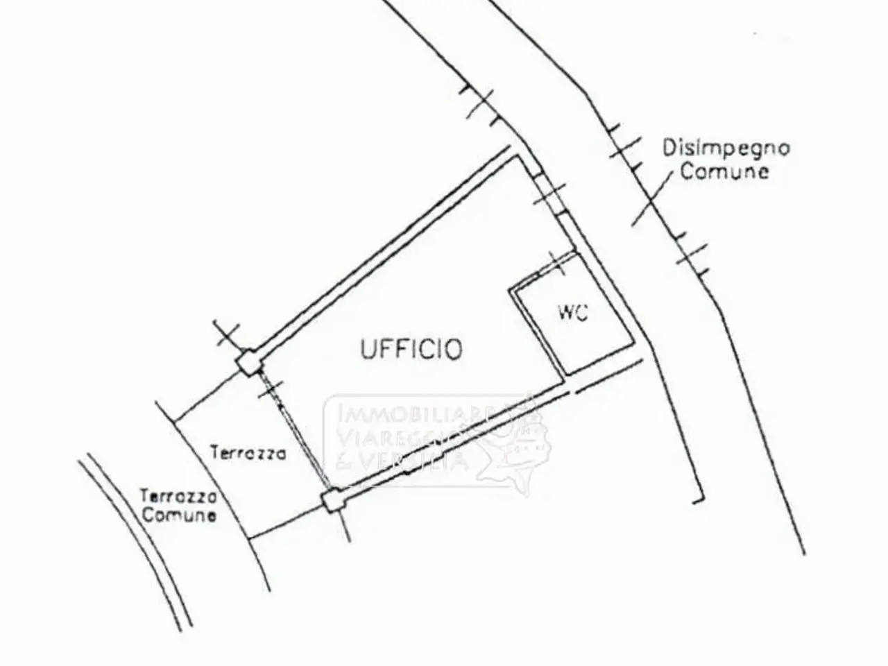 Ufficio in Corte Anna Magnani, Camaiore, {3} - Planimetria 1